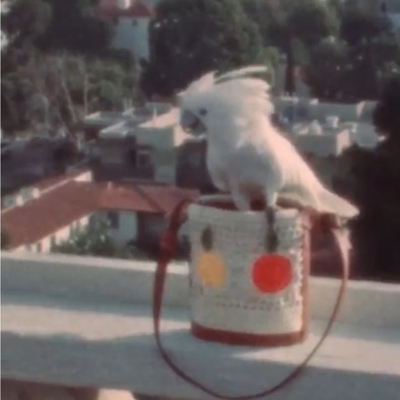 STAUD BAG - Picture 8 of 14